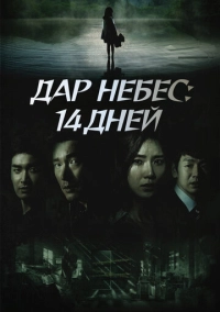 Дар небес: 14 дней (2014)