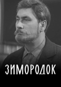 Зимородок (1972)